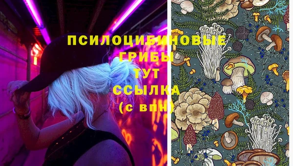 бутират Алексеевка
