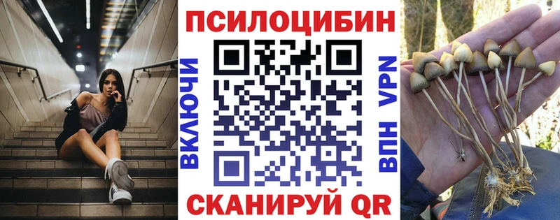 ОМГ ОМГ как войти  Карачев  Галлюциногенные грибы Magic Shrooms  наркошоп 